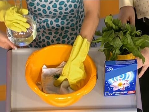 mne podhodit uksusom udalit zheltie pyatna izvinyayus Удалить желтые пятна уксусом фото